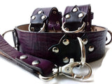 Purple BDSM Set