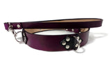 Purple leather Collar + Leash