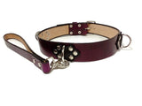 Purple leather Collar + Leash